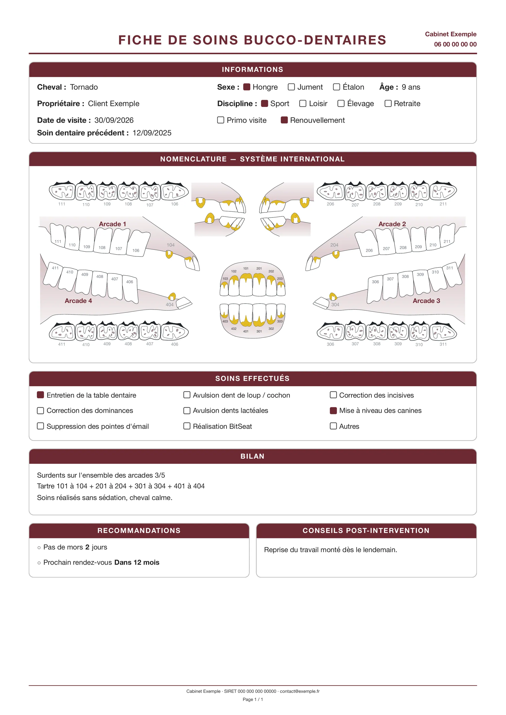 Fiche de soins bucco-dentaires en PDF : informations du cheval, le schéma Panorama sous Nomenclature, soins effectués, bilan et recommandations