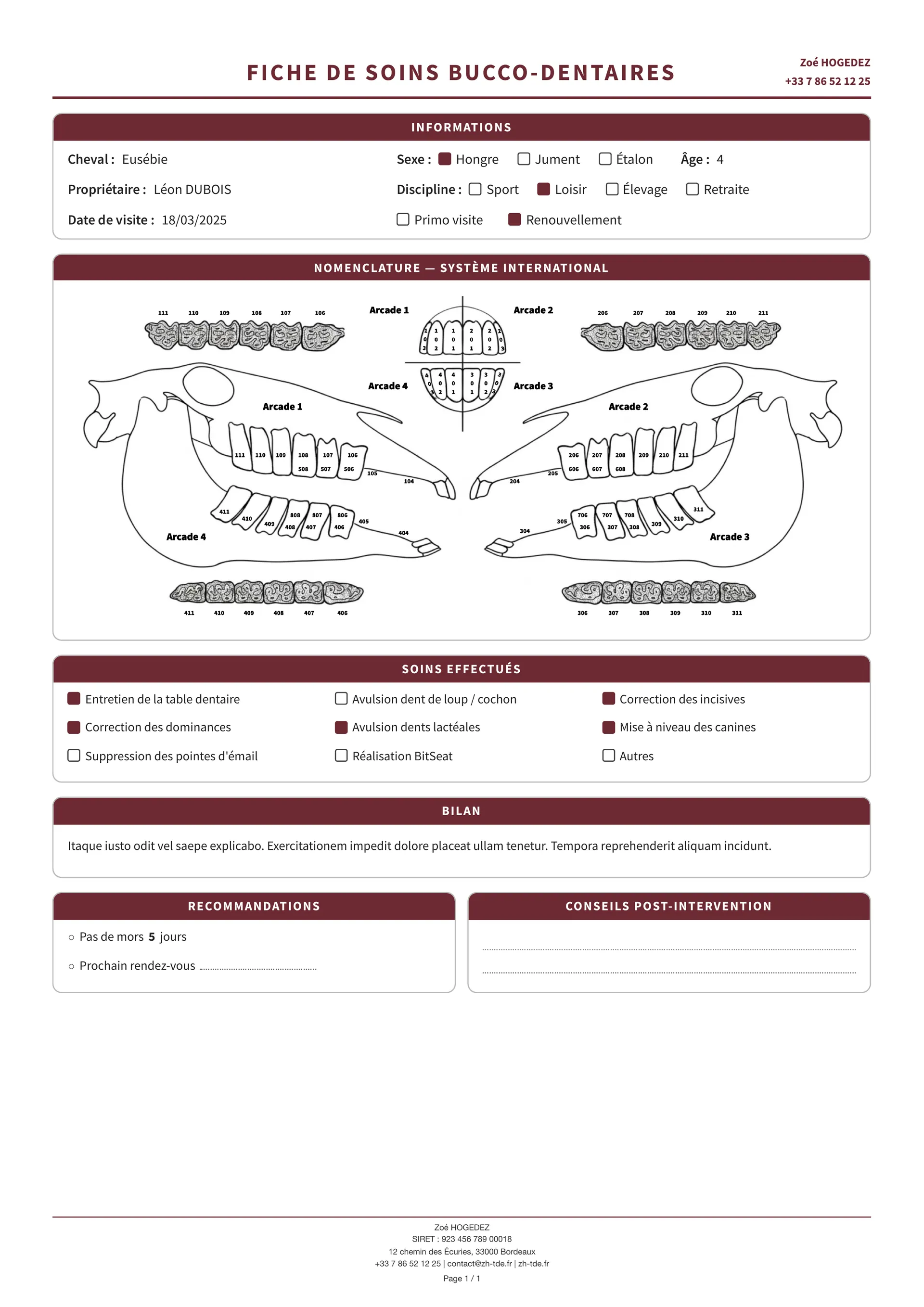 Fiche de soins bucco-dentaires en PDF : informations du cheval, nomenclature dentaire, soins effectués, bilan et recommandations
